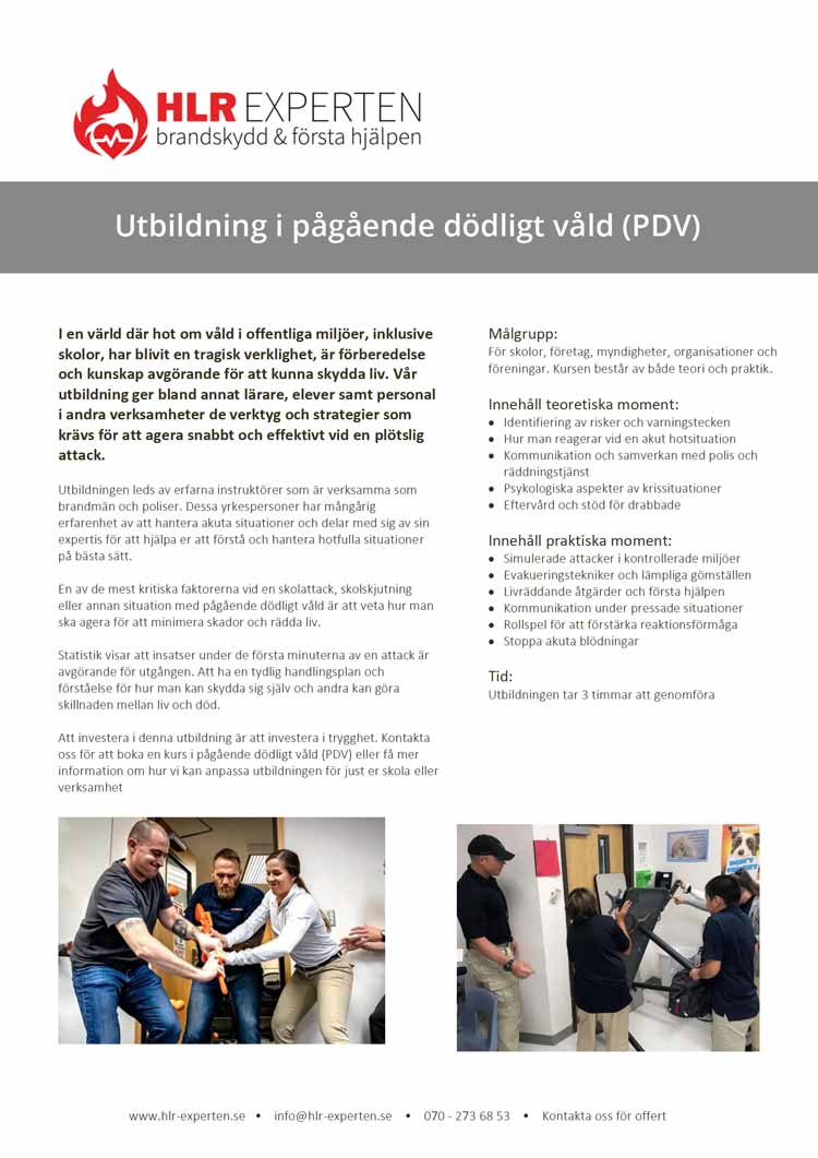 Pågående dödligt våld